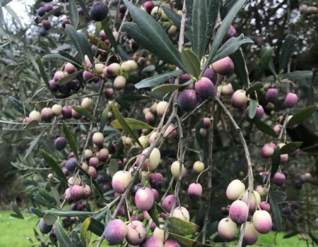 967a05a4-6649-4b23-9ad6-0de5fd98283e