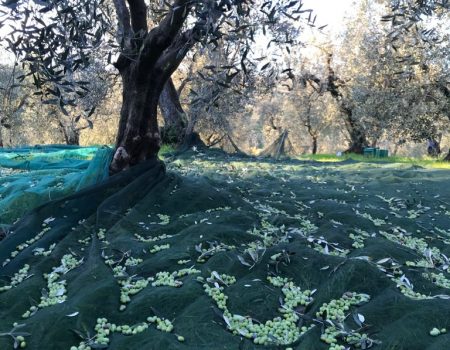 022c15e9-acff-48ee-bf00-03b4d8d0372a