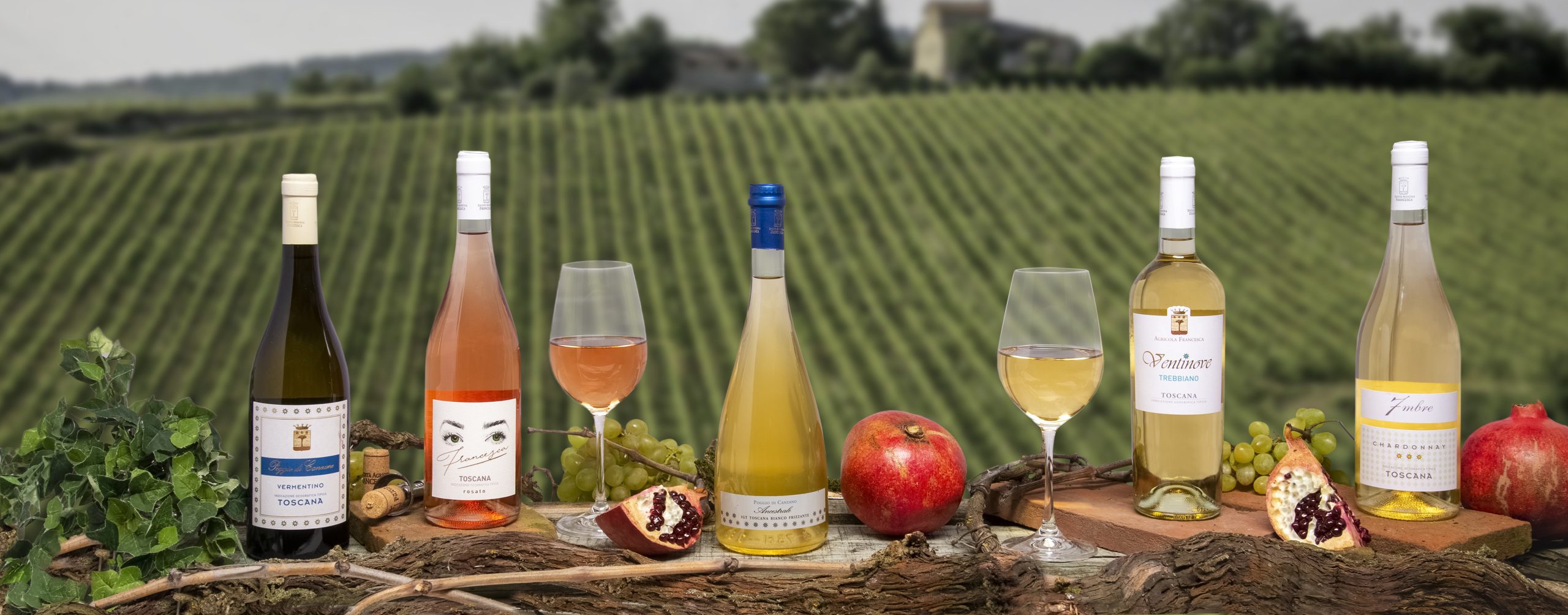 Vini toscani bianchi biologici Agricola Francesca